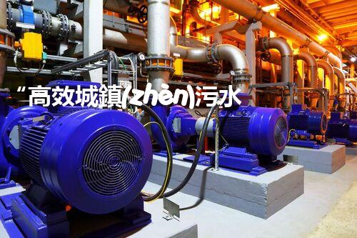“高效城鎮(zhèn)污水處理流程，守護(hù)碧水藍(lán)天新篇章”